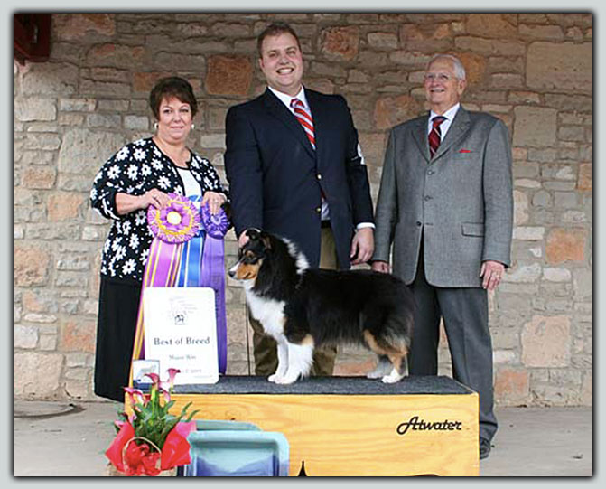 BISS Ch. Kismet's Layla Sheltie Photograph