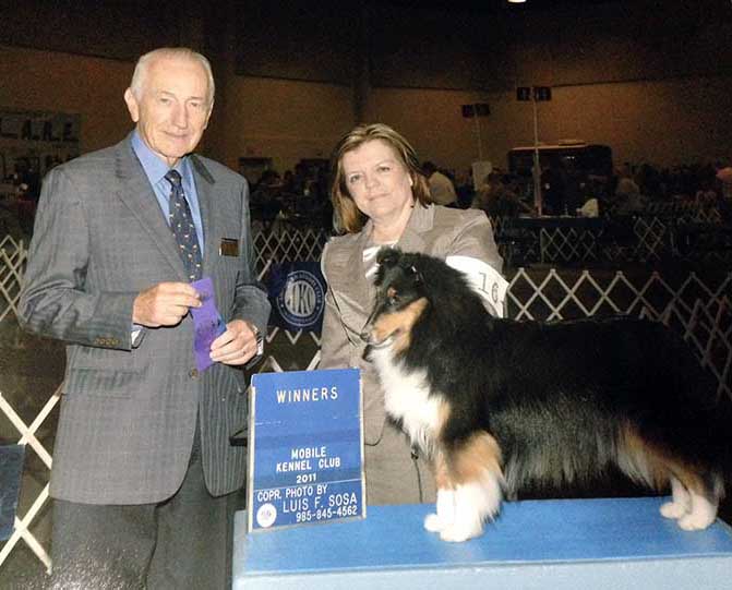 Kismet's Touch of Silk Sheltie Photograph