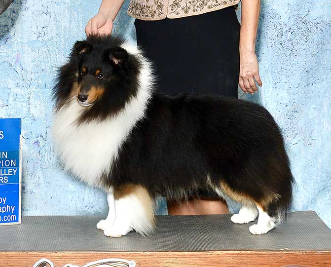 Springtime Karisma Carefree Highway O Kismet